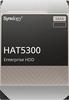 Synology HAT5300 12TB interne HDD-Festplatte (12 TB) 3,5", schwarz