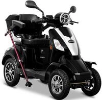 Rolektro Elektromobil Rolektro E-Quad 25 V.2, Blei-Gel-Akku, 1000 W, 25 km/h,...