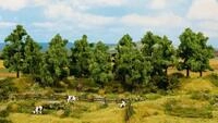NOCH Modelleisenbahn-Baum Noch H0 TT 24600 Laubb&auml;ume Baum gr&uuml;n (8 St&uuml;ck)...