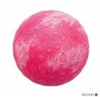 Wolters Tierball Dog Fun Ball