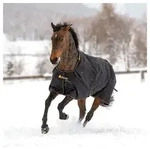 Bucas Pferde-Thermodecke Bucas Irish Turnout Extra 300g Pony 1200D - black/gold 100