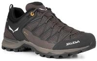 Salewa Mtn Trainer Lite GTX (Zustieg, wasserdicht) braun Herren Wanderschuh