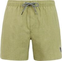 Protest Badeshorts DAVEY beachshort Fern Green