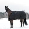 Bucas Pferde-Thermodecke Bucas Irish Turnout Extra 300g - black/gold 140 cm