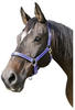 Kerbl Halfter Halfter Mustang Größe Pony royalblau / schwarz 321962