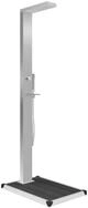 vidaXL Gartendusche, Bodendusche mit Bodenelement WPC Edelstahl