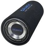 Crunch GTS200 20 cm Single Bassreflex Tube Auto-Subwoofer
