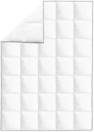 vidaXL Daunenbettdecke, Winter-Daunendecke 2 Stk. 155x220 cm