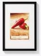 Walther Bilderrahmen Holzrahmen BP045B Peppers 30x45 schwarz