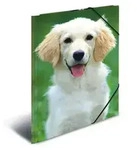 HERMA F&auml;chermappe Gummizugmappe A3 PP (Polypropylen) Hunde