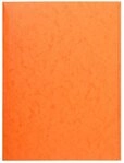 EXACOMPTA Organisationsmappe 25x Aktenmappe +3 Klappen ohne Gummizug, Karton,...