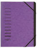 PAGNA Ordnungsmappe 12 Fächer violett (40059-10)