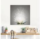 Artland Glasbild Magie der Lotus-Blume, Blumen (1 St)