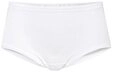 CALIDA Taillenslip Iconics Damen (1-St) high waist, aus 100% Baumwolle