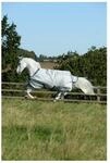 Bucas Ausreitdecke Outdoordecke Power Turnout Medium 150g in Silver