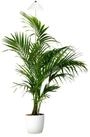 PARUS Pflanzenlampe Indoor plants, Leuchtmittel f&uuml;r Pflanzen, Teleskopstab 1,7m,