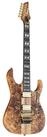 Ibanez E-Gitarre, E-Gitarren, Ibanez Modelle, Premium RGT1220PB-ABS Antique Brown