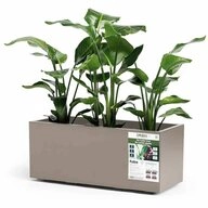 euro3plast Pflanzk&uuml;bel Greener KEBE 3154.G9 Pflanzkasten Kunststoff Taupe