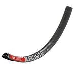 DT Swiss Laufrad DT Swiss Felge XR 391 29" 28 Loch Schwarz - leichte XC-Felge...