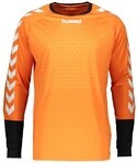 hummel Torwarttrikot Hummel Essential Torwarttrikot F7905