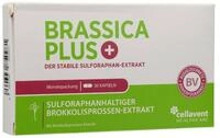 Cellavent Healthcare BRASSICA PLUS Kapseln 30 St&uuml;ck Kapsel