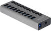 Delock 63670 - Externer SuperSpeed-USB-Hub mit 10 Anschlüssen +... USB-Adapter...