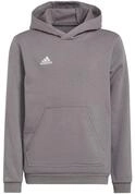 adidas Performance Kapuzensweatshirt Entrada 22