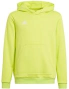 adidas Performance Kapuzensweatshirt Entrada 22