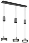 TRIO Leuchten LED Pendelleuchte, Dimmfunktion, LED fest integriert, warmwei&szlig;,