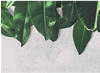 A.S. Creation Designwalls Leaves Wall grau-grün (DD118546)