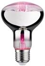 Paulmann LED-Filament 28733, E27, Extra-Warmwei&szlig;, LED