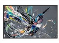 Philips LED-Display 50BDL3550Q Q-Line - 125.7 cm (50) - 3840 x 2160 4K TFT-Monitor