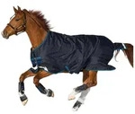 Horseware Ausreitdecke Outdoordecke Amigo Bravo 12 50g Turnout in...