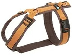 AnnyX Hunde-Geschirr Brustgeschirr Fun - gepolstert - superbequem, Nylon, bequemer