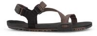 Xero Shoes Z-Trail EV braun Herren Sandale