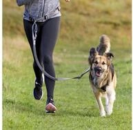 TRIXIE Joggingleine Bauchgurt mit Leine f&uuml;r mittelgro&szlig;e und gro&szlig;e Hunde -