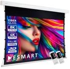 ESMART ESMART Germany Tension Leinwand XTS Motorleinwand (Expert XTS)