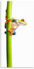 Artland Wandbild Frosch umfasst einen Pflanzenstengel, Wassertiere (1 St), als