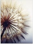 Artland Glasbild Gro&szlig;e Pusteblume, Blumen (1 St), in verschiedenen Gr&ouml;&szlig;en