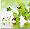 Artland Glasbild Schöne Orchidee mit grünem Hintergrund, Blumen (1 St), in