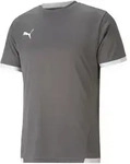 PUMA Funktionsshirt Puma teamLIGA grau S (44/46)