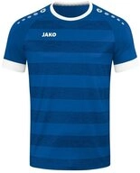 Jako Handballtrikot Trikot Celtic Melange KA