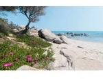 Komar Vliestapete Digitaldruck Vlies - Mediterrane Tr&auml;ume - Gr&ouml;&szlig;e 450 x 280...