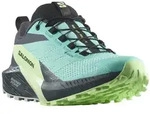 Salomon SENSE RIDE 5 GTX Laufschuh blau 38,5 EU