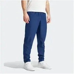 adidas Performance Trainingshose ENT22 PRE PNT (1-tlg) blau M