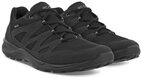 Ecco Wanderschuhe Terracruise LT Low GTX - wasserdicht, leicht und flexible Sneaker