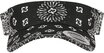 Flexfit Visor Flexfit Accessoires Visor Bandana Print