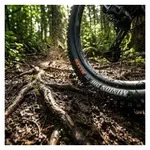 Maxxis Fahrradreifen Maxxis Reifen Minion DHF WT 27.5x2.50 Zoll 63-584 schwarz...