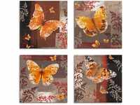 Artland Leinwandbild Schmetterling 1-4, Insekten (4 St), 4er Set, verschiedene