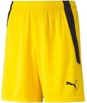 PUMA Trainingsshorts Puma teamLIGA